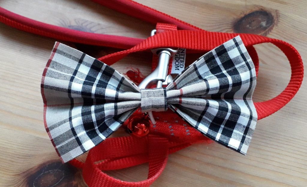 Bows for Dog Collars/Leads